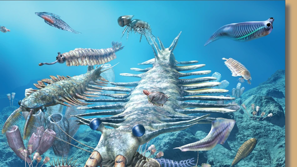 USGS reconstruction of a Cambrian marine community