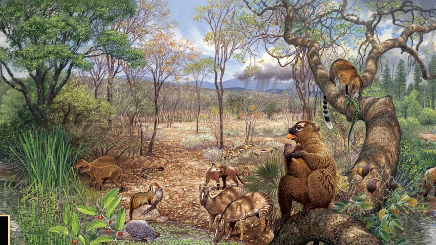 USGS reconstruction of a Paleocene forest and mammal community
